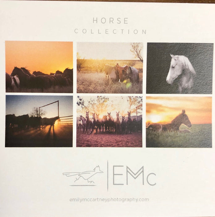 Horse Collection | Notecards