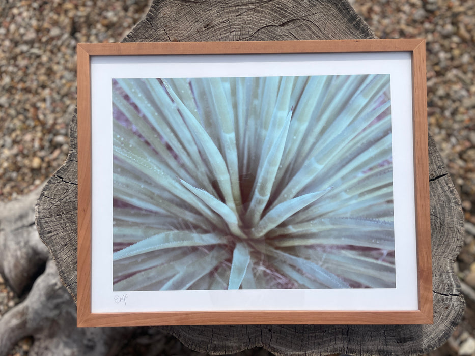 Retro Desert: Agave Framed Print