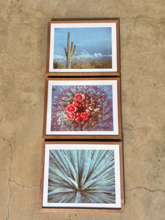 Retro Desert: Saguaro Framed Print