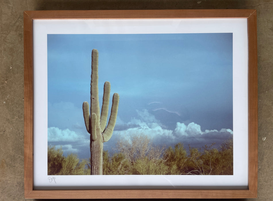 Retro Desert: Saguaro Framed Print