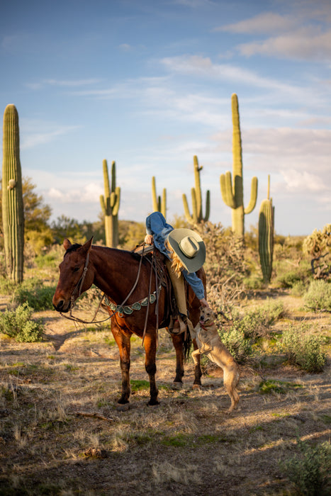 Arizona Cowgirl