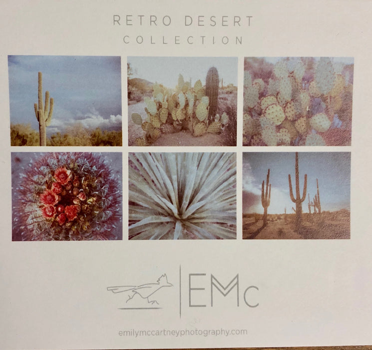 Retro Desert Collection | Notecards