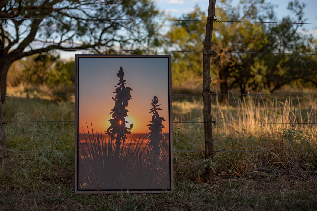 High Plains Runaway - Framed Canvas
